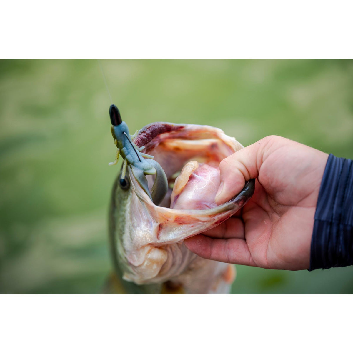 Berkley MaxScent Chigger Craw