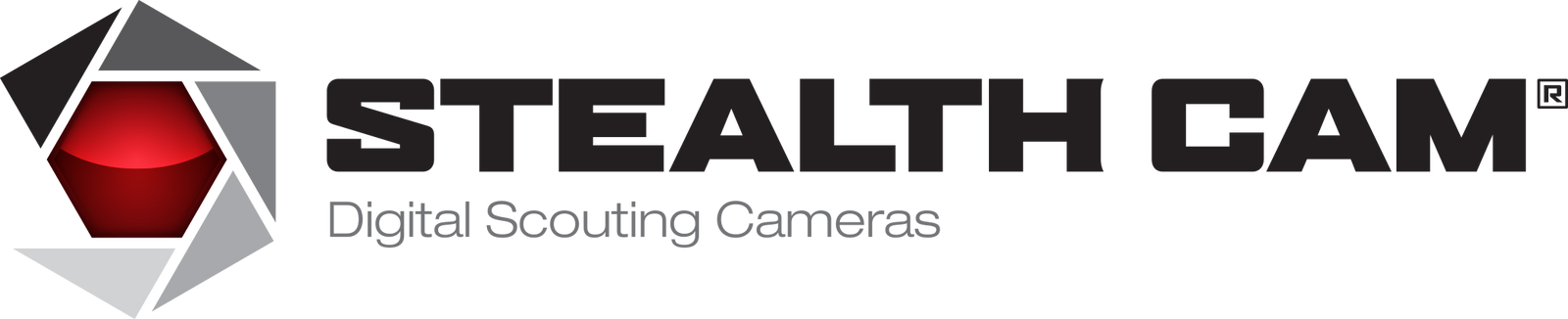 Stealth Cam