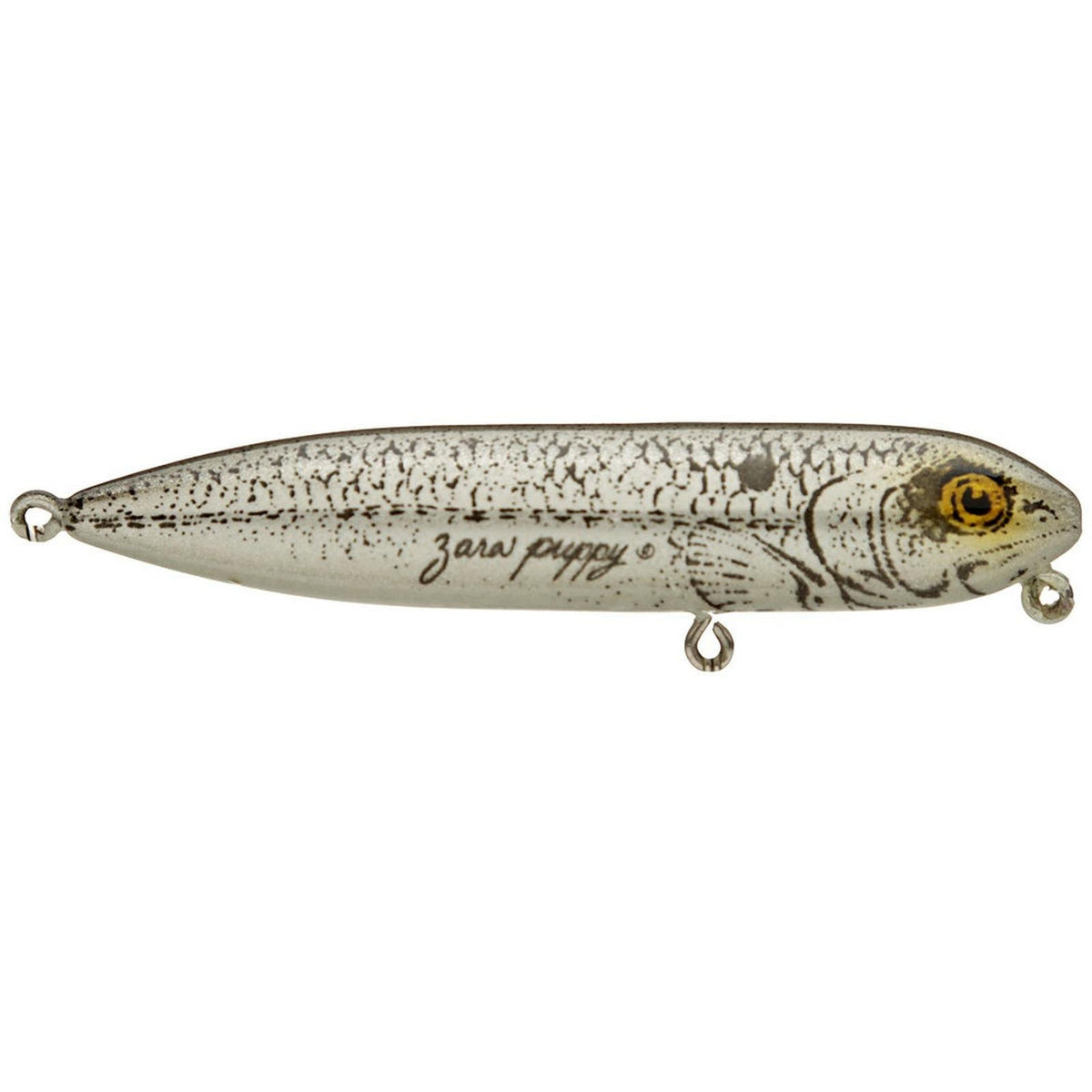 Heddon Zara Puppy