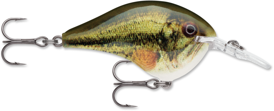 Rapala LIVE Series Dive-To