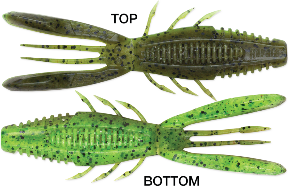 Rapala Crush City Bronco Bug