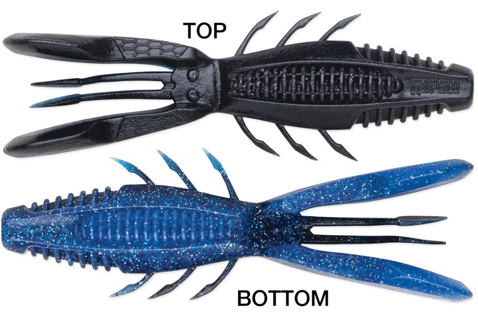 Rapala Crush City Bronco Bug