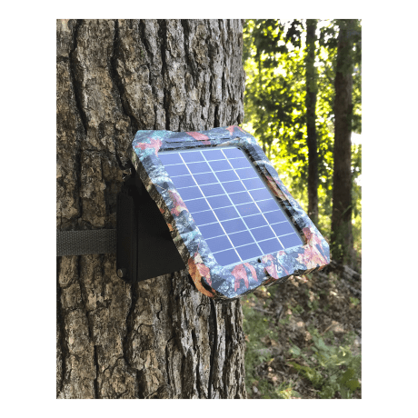 Solar panel attached to a tree in a forest setting