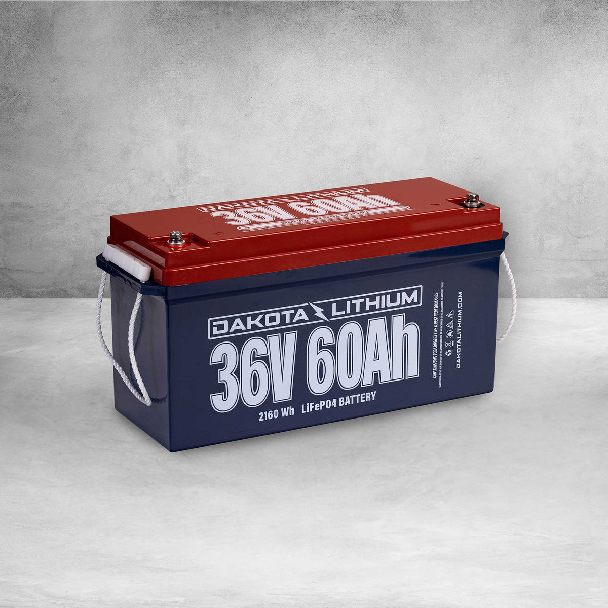 Dakota Lithium 36V 60ah Deep Cycle LifeP04 Battery