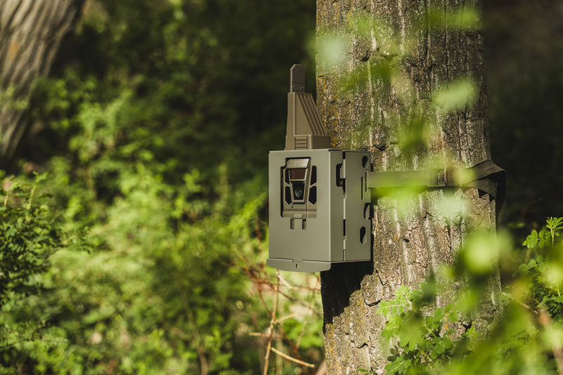 Tactacam Reveal Security Box V4