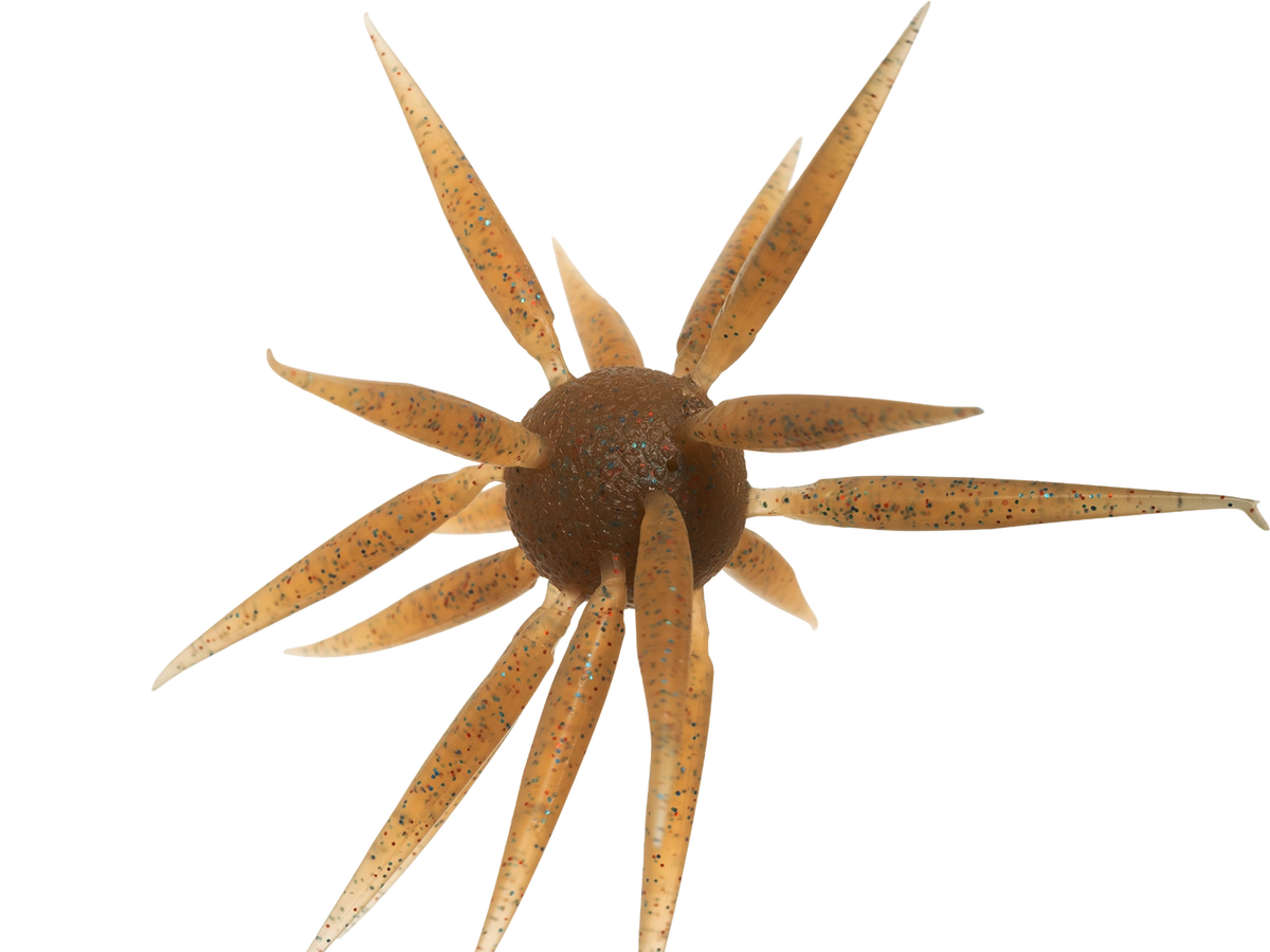 Hideup Coike Fish L Elastomer