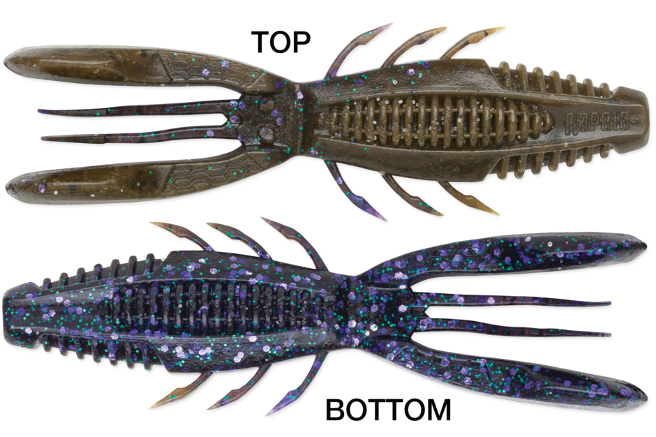 Rapala Crush City Bronco Bug