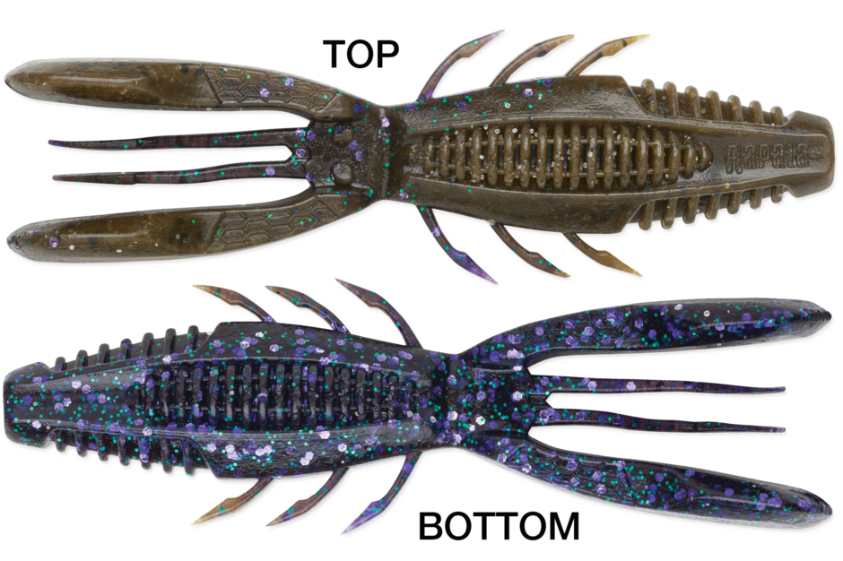 Rapala Crush City Bronco Bug