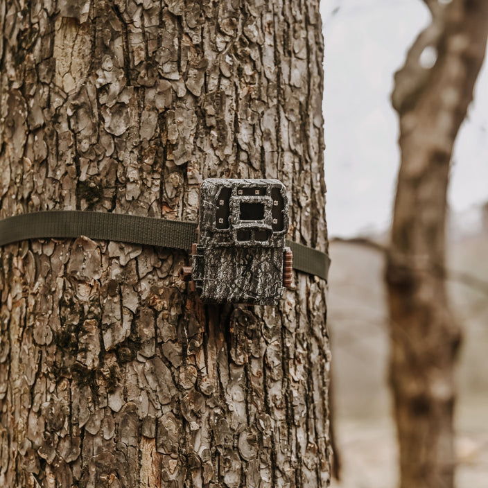 Browning Strike Force Pro Nano DCL Trail Camera