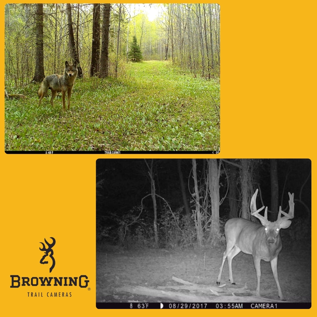 Browning Strike Force Pro X 1080 Trail Camera
