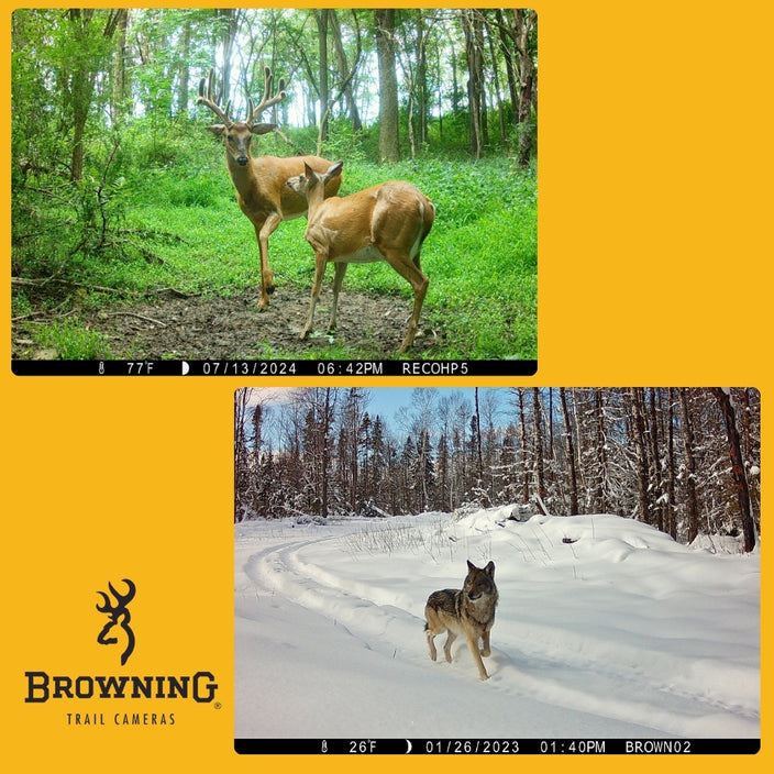 Browning Recon Force Elite HP5 Trail Camera