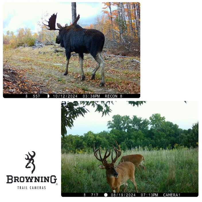 Browning Recon Force Elite HP5 Trail Camera