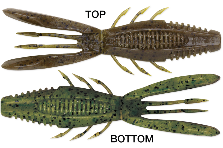 Rapala Crush City Bronco Bug