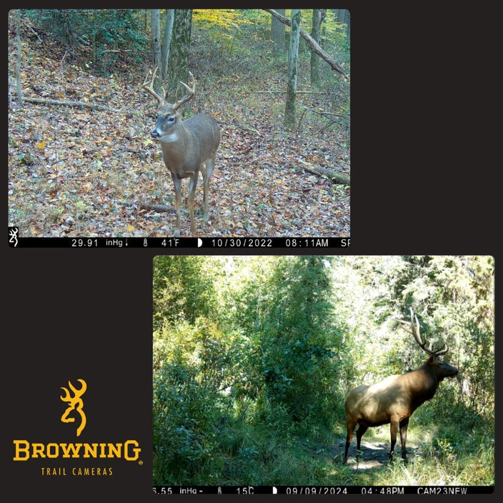 Browning Elite HP5 Spec OPS Trail Camera
