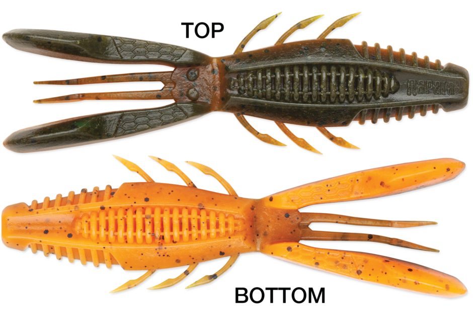 Rapala Crush City Bronco Bug