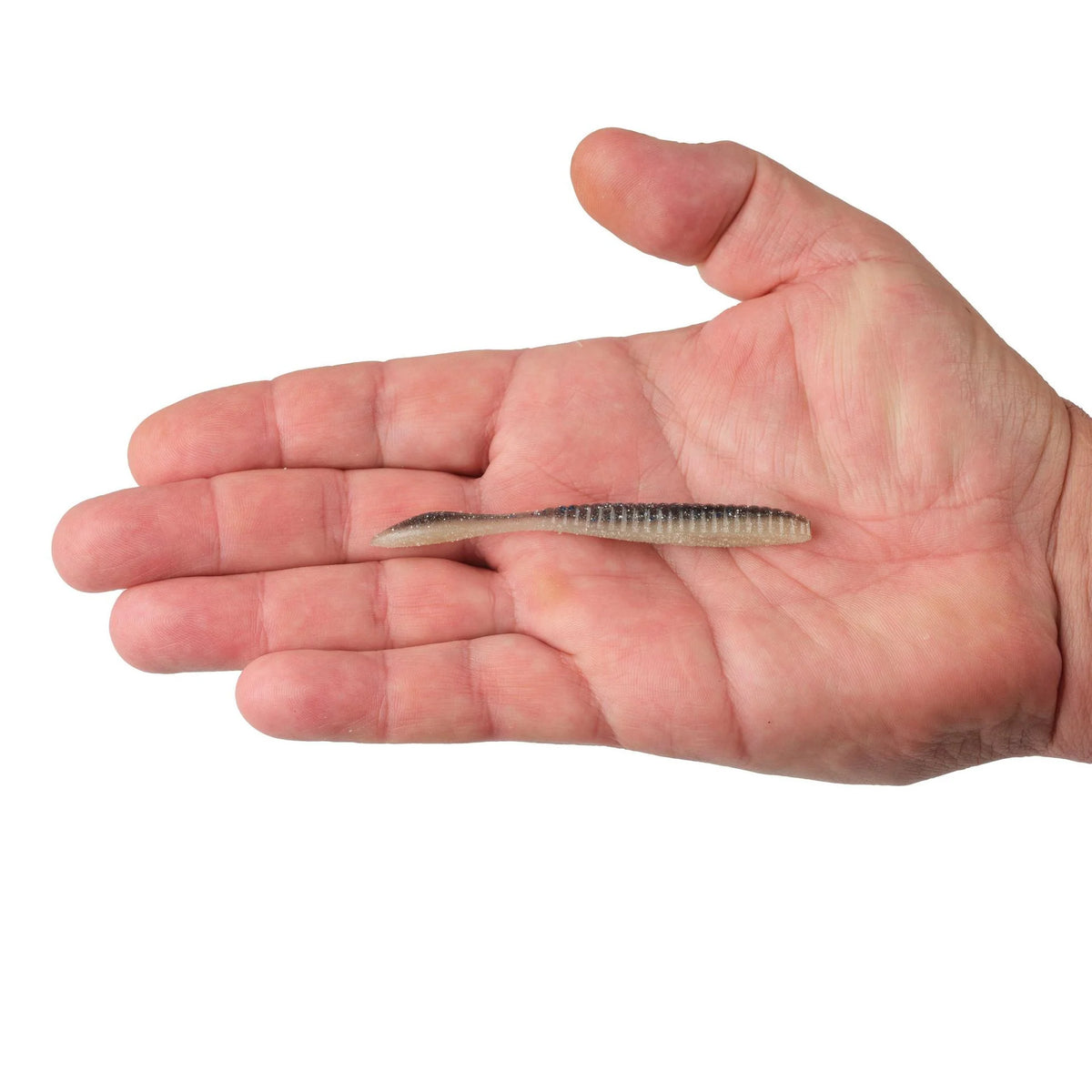 Berkley Lab Series Flat Worm