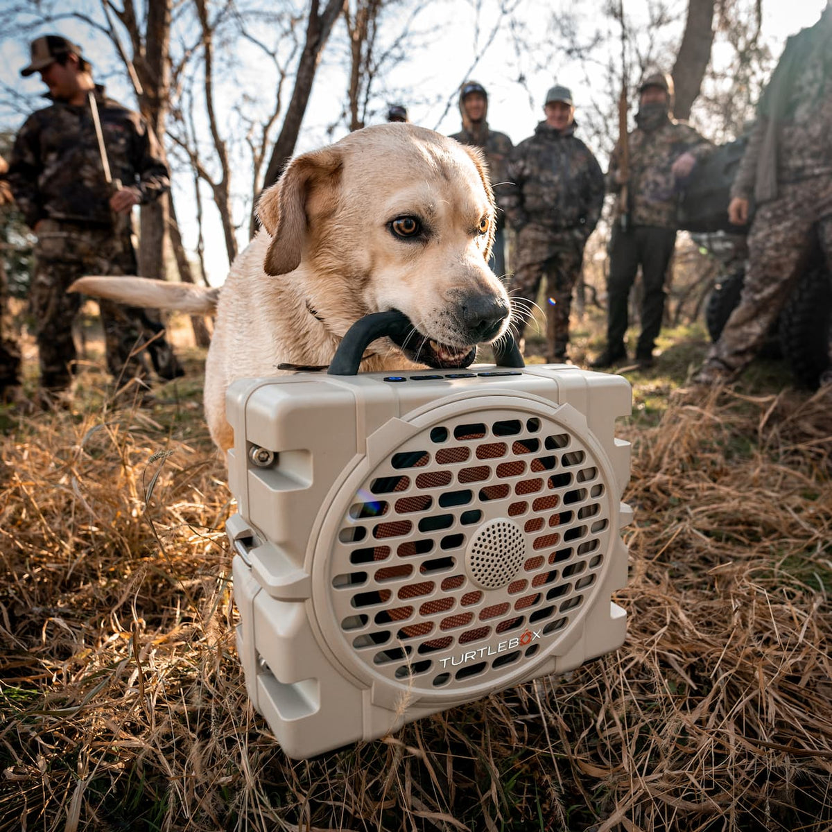 TurtleBox Grande Speaker