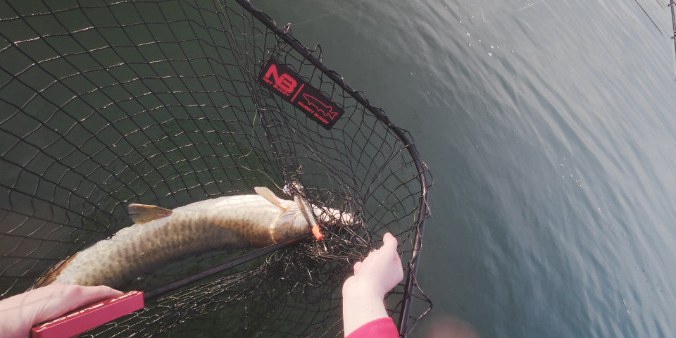 Net Buddy Hookout