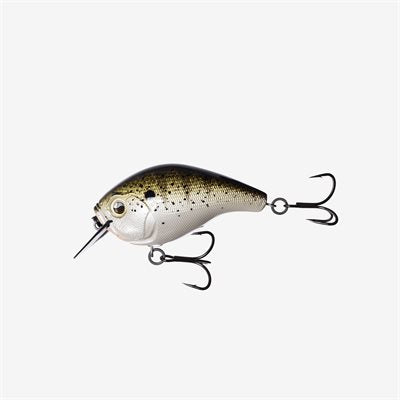13 Fishing Jabber Jaw