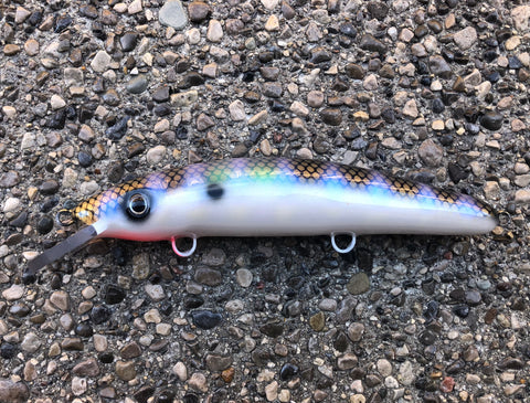 cisco shad fishing lure Blue Water Baits Cisco 9”