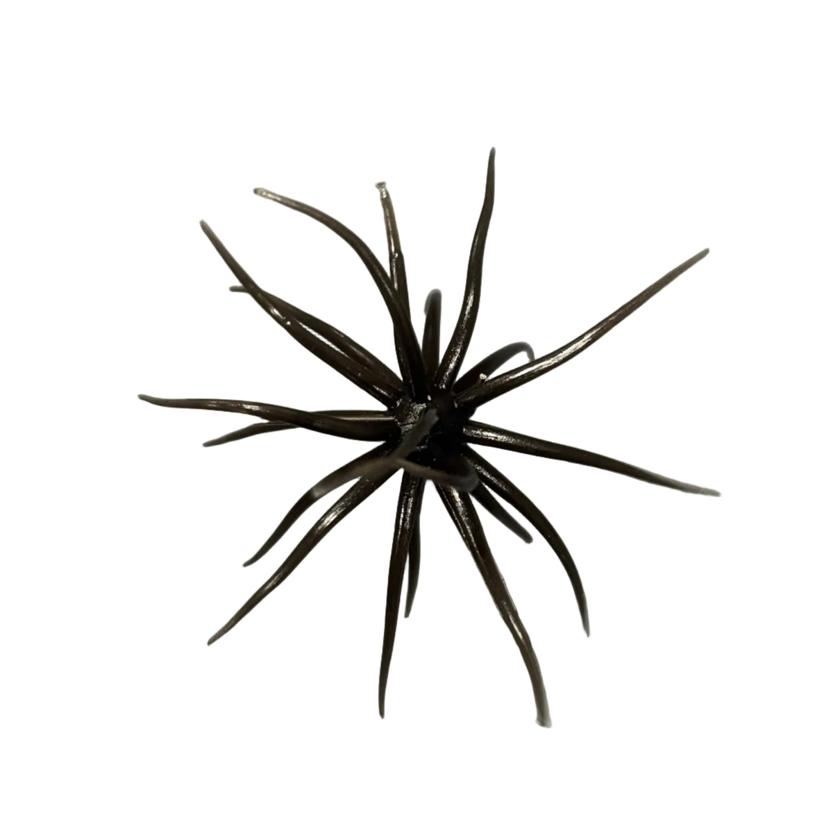 Queen Tackle Porcupine Balls Baby 8