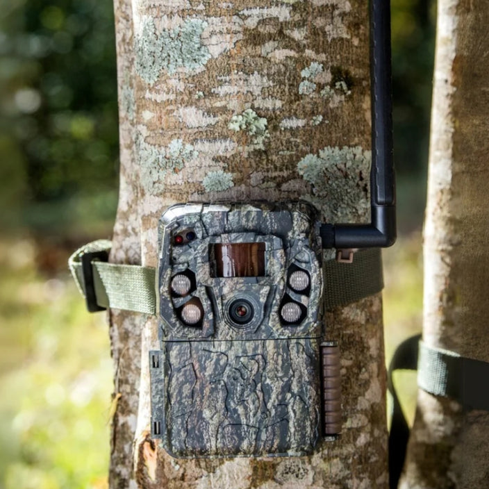 Browning Defender Vision Pro HD Trail Camera