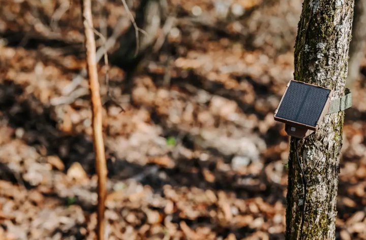 Solar panel with power cord on a white background