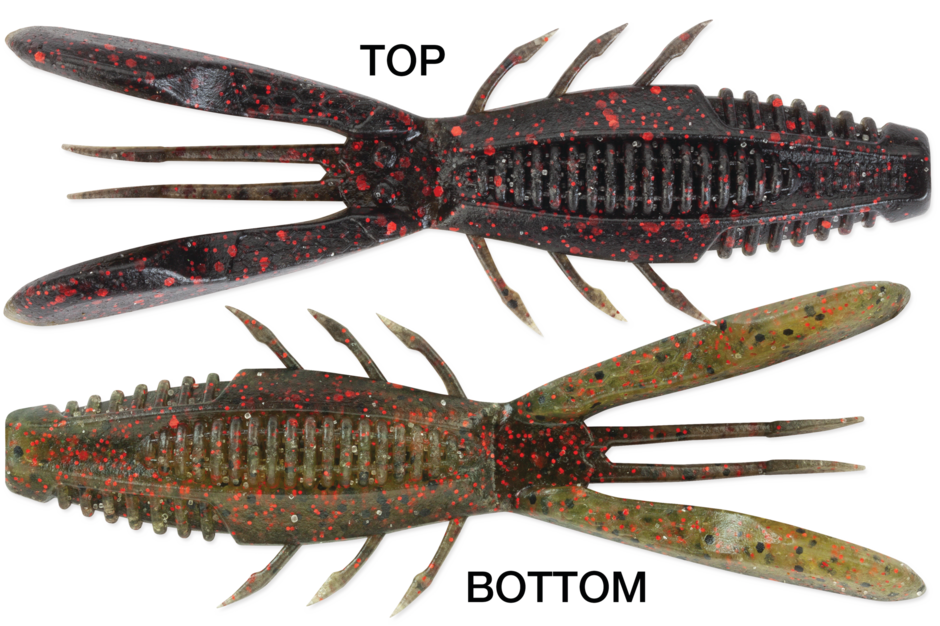 Rapala Crush City Bronco Bug
