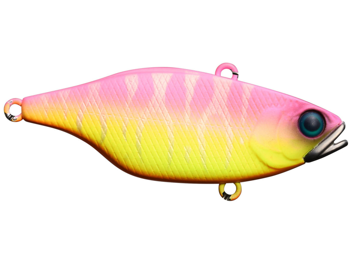 leurre Jackall Illex TN 60 sur leurre Jackall Illex TN 60 sur