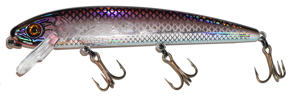 Spanky Baits M7 Pro