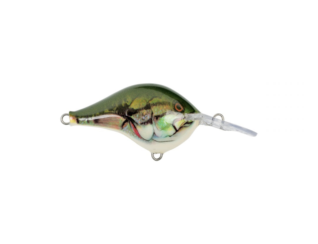 Rapala LIVE Series Dive-To