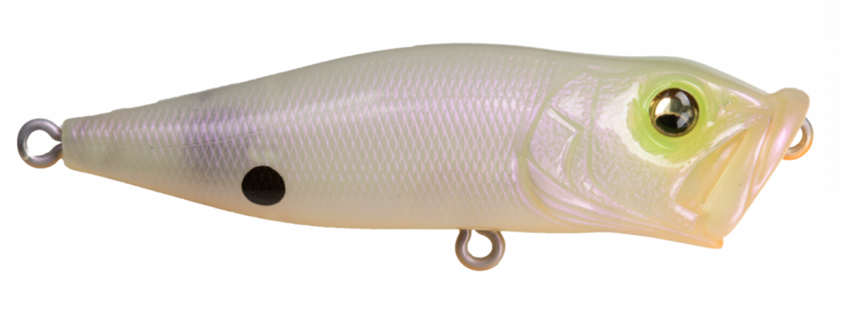Megabass Pop-X - LOTWSHQ Megabass Pop-X - LOTWSHQ