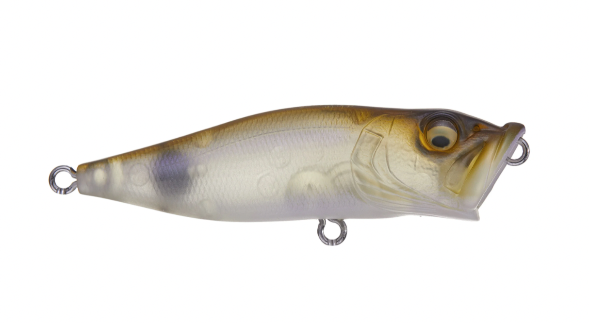 Megabass Pop-X - LOTWSHQ Megabass Pop-X - LOTWSHQ