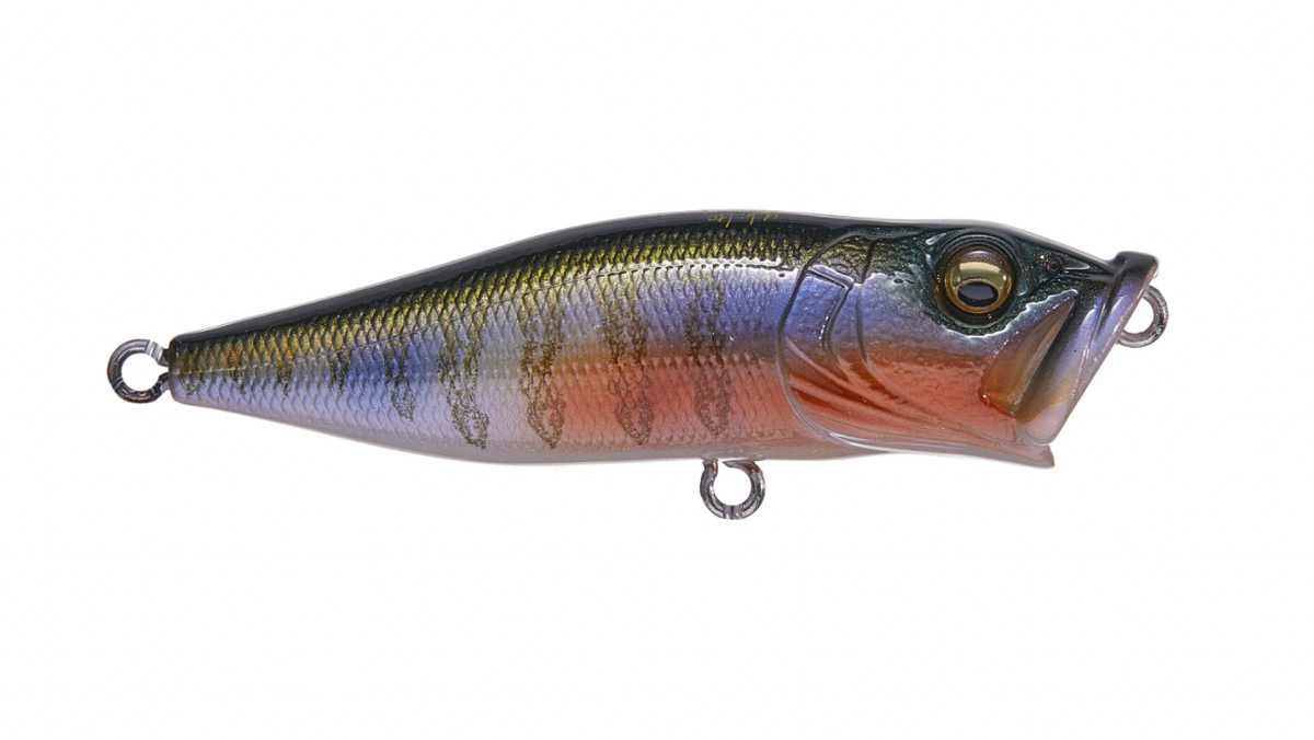Megabass Pop-X - LOTWSHQ Megabass Pop-X - LOTWSHQ
