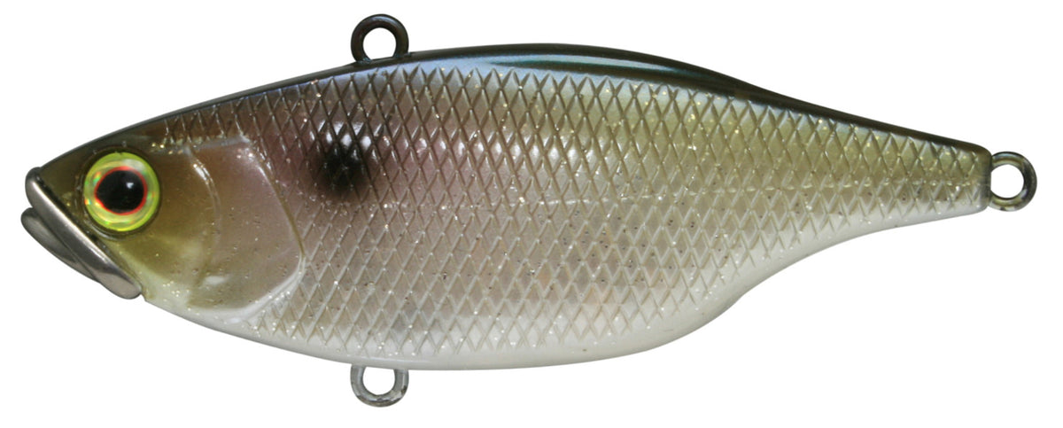 Jackall Gabar Métal Anchois Métal 80 grammes Lame Iwashi (0670 Jackall Gabar Métal Anchois Métal 80 grammes Lame Iwashi (0670