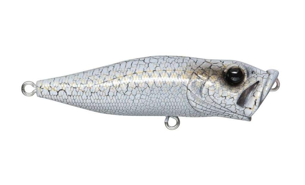Megabass Pop-X - LOTWSHQ